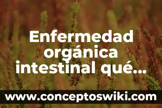Qué es la química orgánica 8 Enfermedad orgánica intestinal qué es