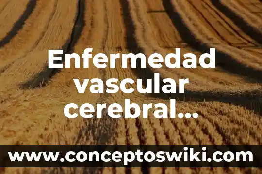 Que es un sistema unidades 8 Enfermedad vascular cerebral hemorrágica que es