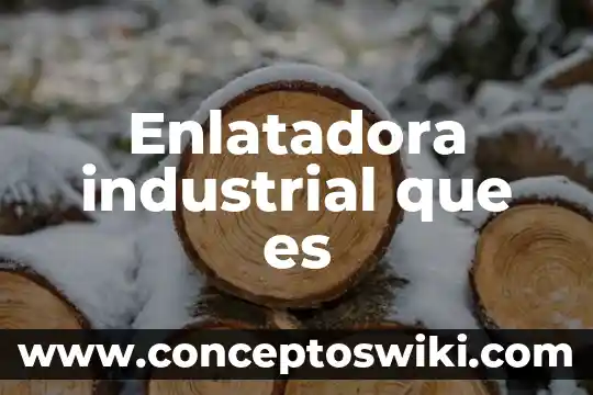 Que es un incendio industrial 8 Enlatadora industrial que es