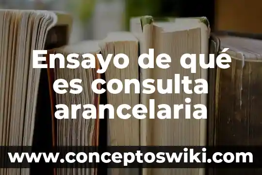 ¿Qué es un número complejo antecedentes? 6 Ensayo de qué es consulta arancelaria