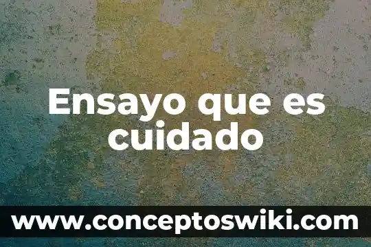 Qué es el cuidado según la etimología 7 Ensayo que es cuidado