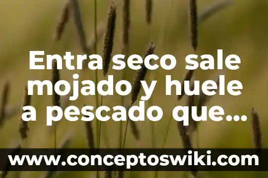Para que es bueno el pescado tilapia 7 Entra seco sale mojado y huele a pescado que es