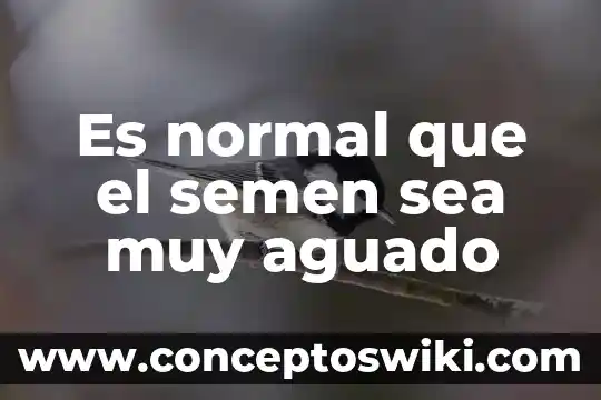 Que es muy significativo 6 Es normal que el semen sea muy aguado