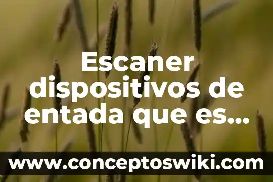 Que es la era en la historia 4 Escaner dispositivos de entada que es historia