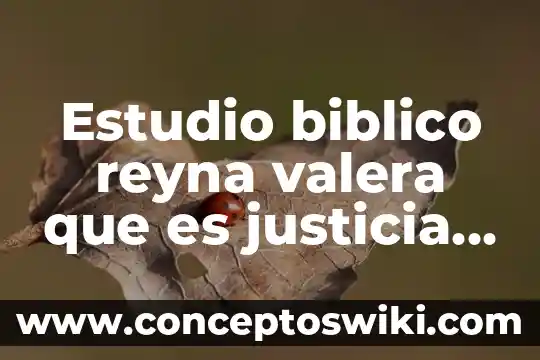 Qué es la justicia para que los niños lo dibujen 3 Estudio biblico reyna valera que es justicia de dios