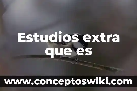 Estudios bíblicos que es ser santo 8 Estudios extra que es