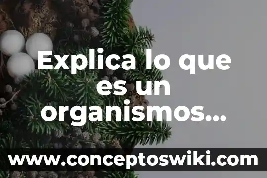 ¿Qué son los Organismos Ciliados? 8 Explica lo que es un organismos consumidores primarios