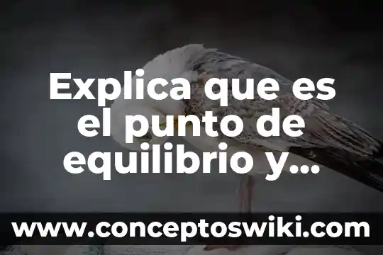 Qué es equilibrio en los mercados 4 Explica que es el punto de equilibrio y fusion