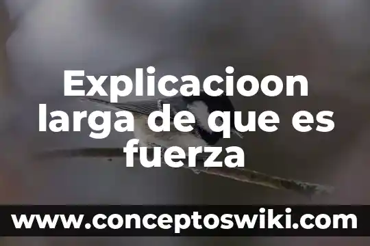 Qué es un diagrama de control y fuerza 6 Explicacioon larga de que es fuerza