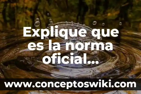 Que es una norma oficial definicion.de 8 Explique que es la norma oficial mexicana