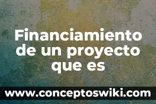 Que es un proyecto en asana 4 Financiamiento de un proyecto que es