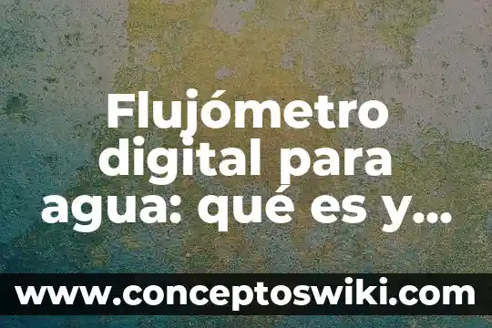 Que es restablecer datos de fabrica y para que sirve 6 Flujómetro digital para agua: qué es y para qué sirve