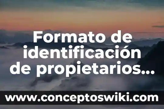 Qué es el formato bittorrent 5 Formato de identificación de propietarios reales que es