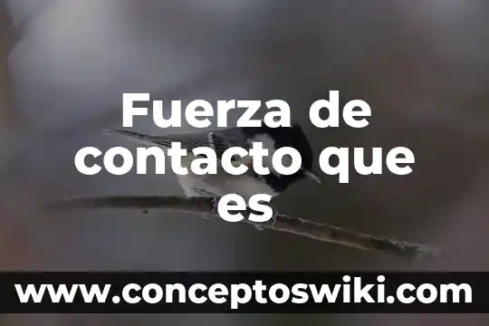 Que es informacion de contacto 5 Fuerza de contacto que es