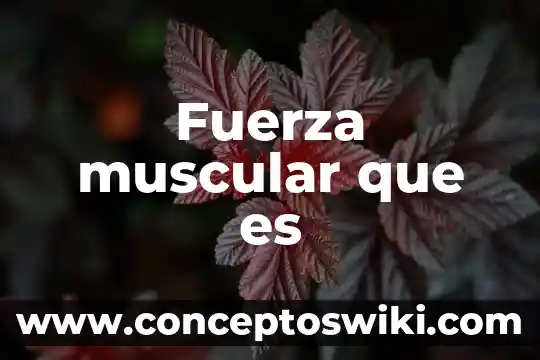 Que es el significado de inadaptados 4 Fuerza muscular que es