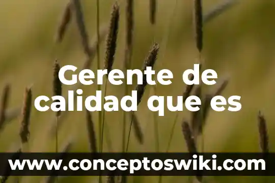 Que es lo que hace el gerente administrativo 5 Gerente de calidad que es