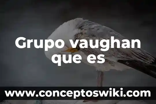 Que es funcion quimica y grupo funcional ejemplos 7 Grupo vaughan que es