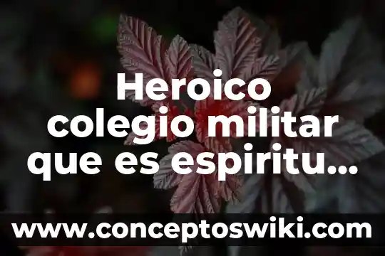 Que es renunciar a ser ciudado y cpnvertirte en militar 5 Heroico colegio militar que es espiritu de cuerpo