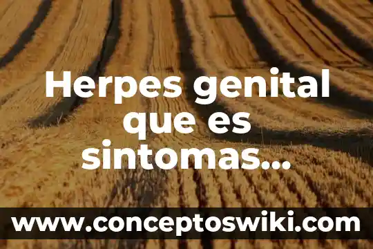 Prevencion digital que es 3 Herpes genital que es sintomas tratamiento prevención órganos y tratamiento