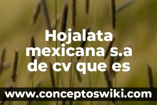 Qué es mejor se de sa de cv o personal 8 Hojalata mexicana s.a de cv que es