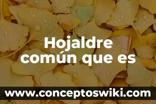 Animal que es gran cazador 3 Hojaldre común que es