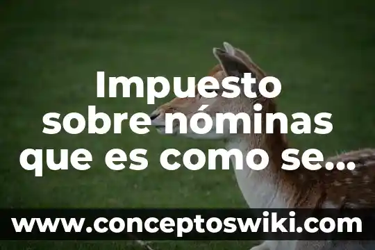 Que es una plataformas virtuales de paga 8 Impuesto sobre nóminas que es como se paga