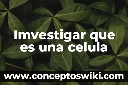 Que es la membrana celular dela celula animal 7 Imvestigar que es una celula