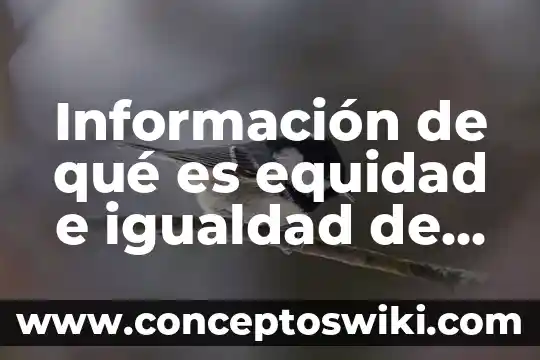 Que es equidad e inclusion educativa 3 Información de qué es equidad e igualdad de género