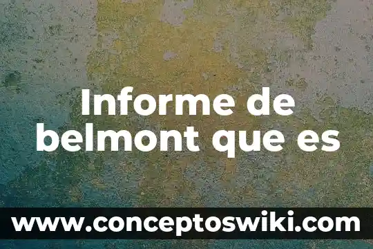 Qué es sartales significado 7 Informe de belmont que es