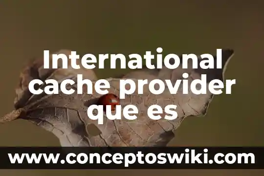 Que es international standard shipping 4 International cache provider que es