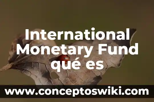 Que es international standard shipping 6 International Monetary Fund qué es