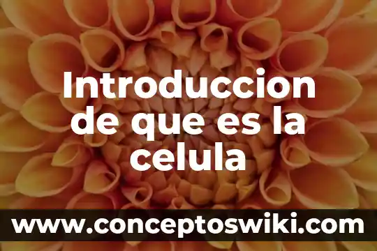 Que es la membrana celular dela celula animal 4 Introduccion de que es la celula