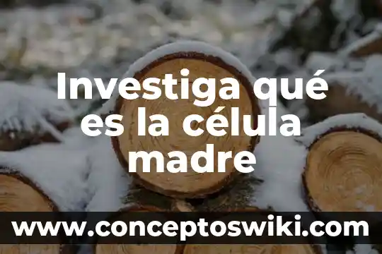 Que es lo mas importante de la celula animal 4 Investiga qué es la célula madre