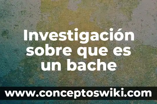 Que es el organo de apelacion 6 Investigaci贸n sobre que es un bache