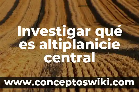 Plano central anatomía qué es 8 Investigar qué es altiplanicie central