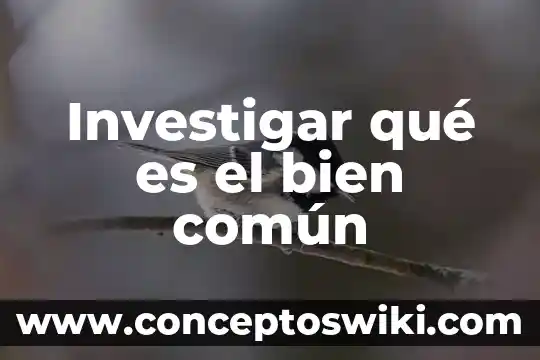 Que es tratar bien a una persona 4 Investigar qué es el bien común