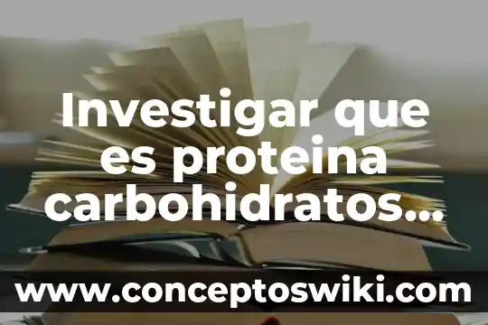 Que es carbohidratos quimica 3 Investigar que es proteina carbohidratos lipidos vitaminas y minerales