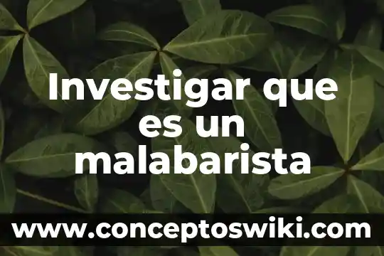 Por que es importante el escudo 3 Investigar que es un malabarista