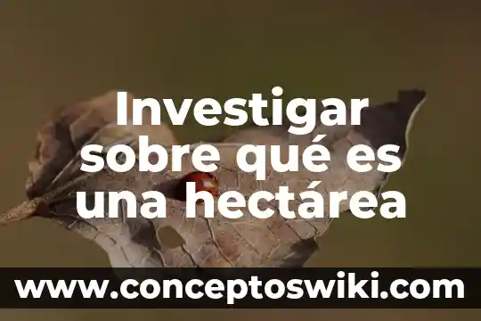 Investigar que es la altura de un triangulo 3 Investigar sobre qué es una hectárea