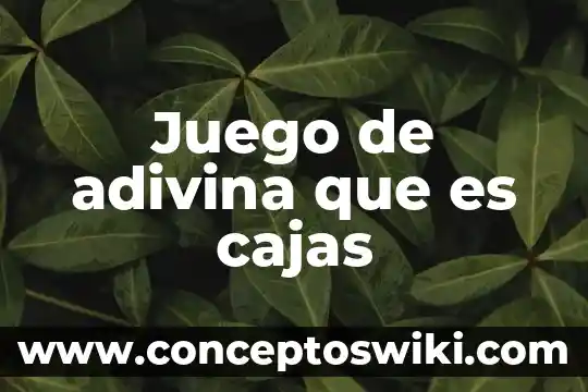 ¿Qué es un juego geométrico? 4 Juego de adivina que es cajas