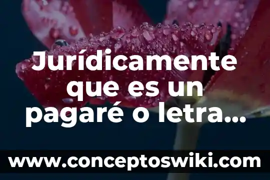 Que es deporte y sus tipos 5 Jurídicamente que es un pagaré o letra de cambio