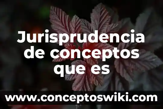 Qué es una jurisprudencia en materia aduanera 5 Jurisprudencia de conceptos que es