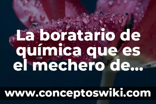 Que es un asa de platino en quimica 8 La boratario de química que es el mechero de Bunsen