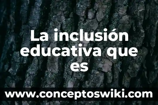 Qué es una medición educativa 4 La inclusión educativa que es