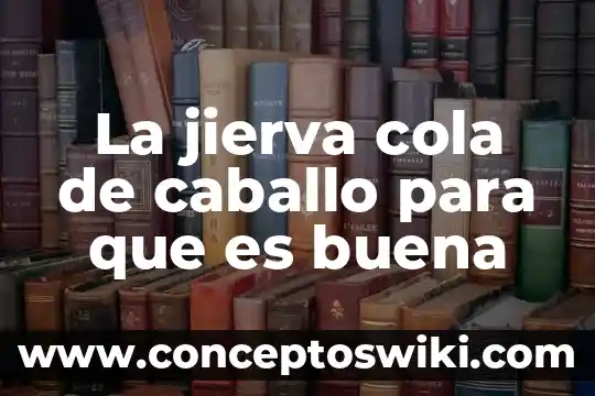 Que es el dolor de caballo en las personas 7 La jierva cola de caballo para que es buena