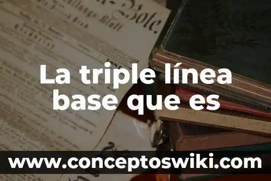 Que es el líquido cefalorraquídeo instituto de salud 8 La triple línea base que es
