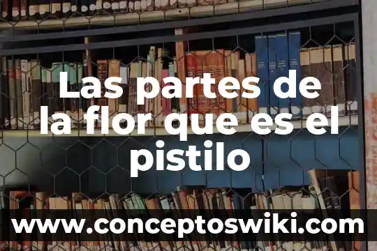 Que es mortero con pistilo quimica 4 Las partes de la flor que es el pistilo