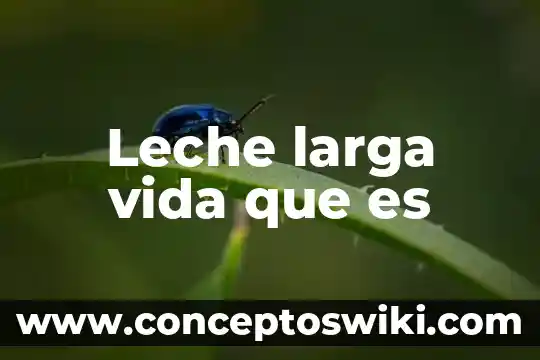 Qué es el proceso uht en la leche 3 Leche larga vida que es