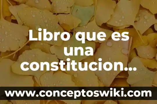 Que es la constitución mexicana de 1917 3 Libro que es una constitucion ferdinand lassalle descargar