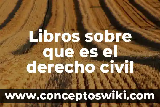 Libros donde definan que es internet 8 Libros sobre que es el derecho civil